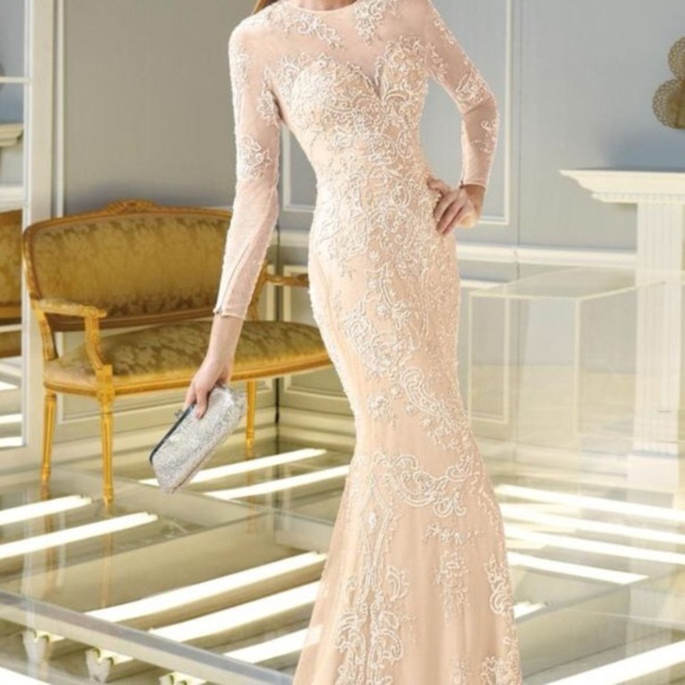 Elegant Champagne Lace Long Sleeve Dress